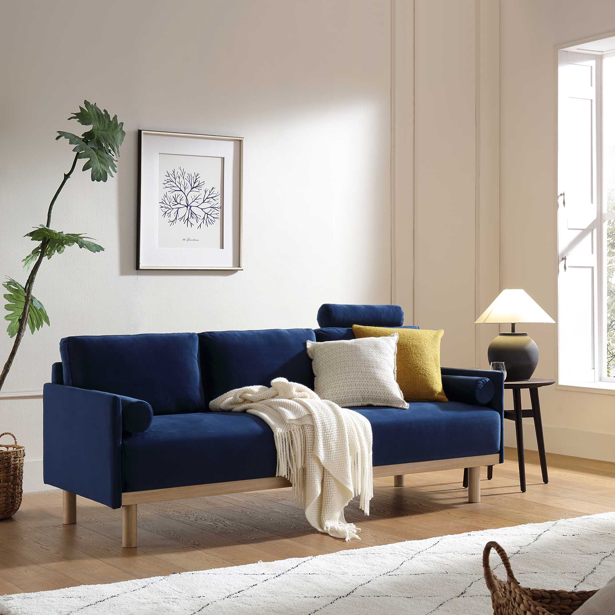 Timber Navy Blue Velvet Sofa, 3-Seater - Image 2